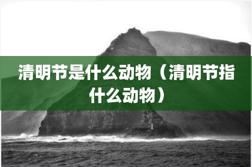 清明节是什么动物（清明节指什么动物）
