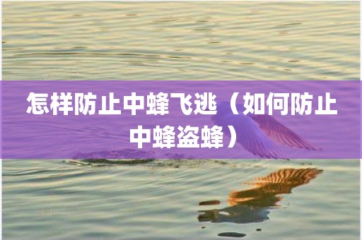 怎样防止中蜂飞逃（如何防止中蜂盗蜂）