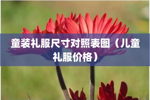 童装礼服尺寸对照表图（儿童礼服价格）