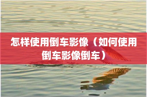 怎样使用倒车影像（如何使用倒车影像倒车）