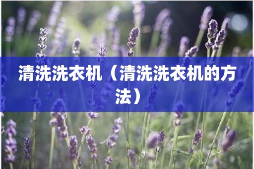 清洗洗衣机（清洗洗衣机的方法）
