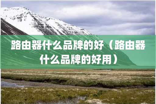 路由器什么品牌的好（路由器什么品牌的好用）