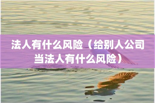 法人有什么风险（给别人公司当法人有什么风险）