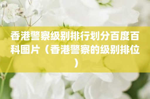 香港警察级别排行划分百度百科图片(香港警察的级别排位) 香港警察级别排行划分百度百科图片(香港警察的级别排位)