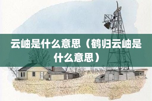 云岫是什么意思（鹤归云岫是什么意思）