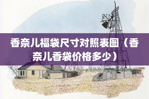 香奈儿福袋尺寸对照表图（香奈儿香袋价格多少）