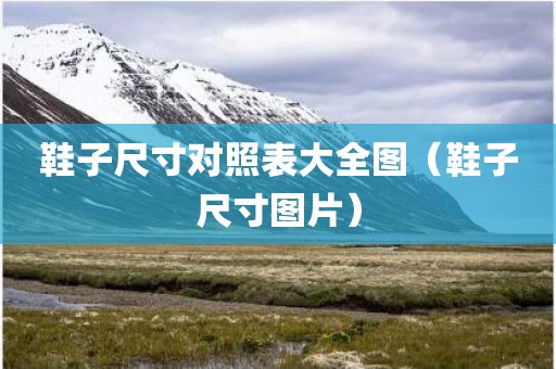 鞋子尺寸对照表大全图（鞋子尺寸图片）