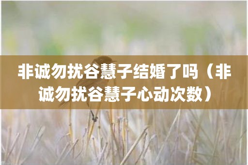 非诚勿扰谷慧子结婚了吗（非诚勿扰谷慧子心动次数）