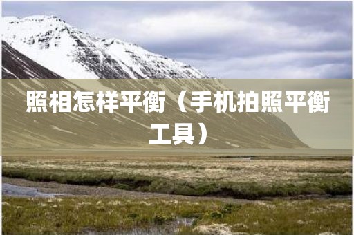 照相怎样平衡（手机拍照平衡工具）