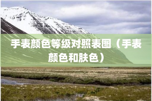 手表颜色等级对照表图（手表颜色和肤色）