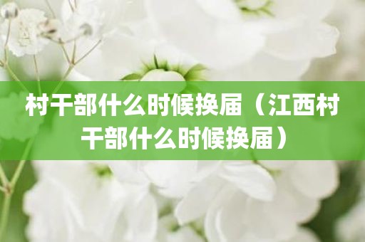 村干部什么时候换届（江西村干部什么时候换届）