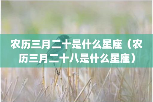 农历三月二十是什么星座（农历三月二十八是什么星座）