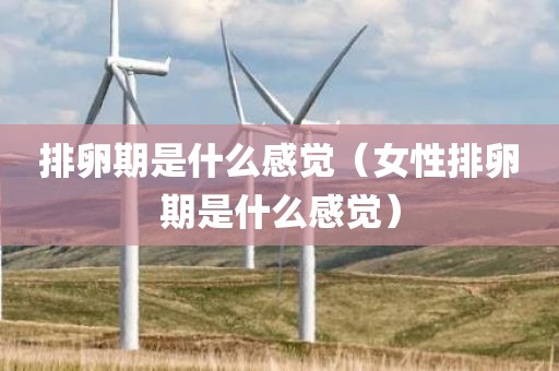 排卵期是什么感觉（女性排卵期是什么感觉）