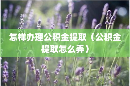 怎样办理公积金提取（公积金提取怎么弄）