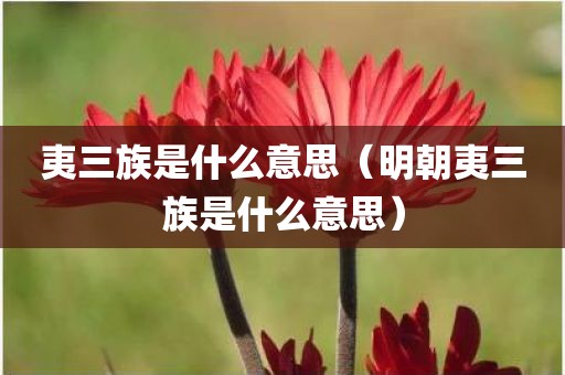 夷三族是什么意思（明朝夷三族是什么意思）
