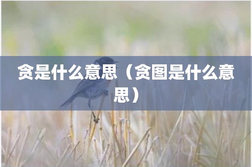 贪是什么意思（贪图是什么意思）
