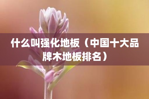 什么叫强化地板（中国十大品牌木地板排名）
