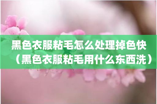 黑色衣服粘毛怎么处理掉色快（黑色衣服粘毛用什么东西洗）