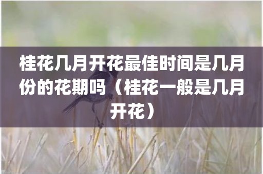 桂花几月开花最佳时间是几月份的花期吗(桂花一般是几月开花) 桂花几月开花最佳时间是几月份的花期吗(桂花一般是几月开花)