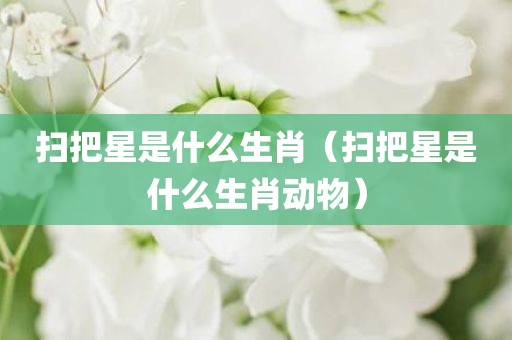 扫把星是什么生肖(扫把星是什么生肖动物)
