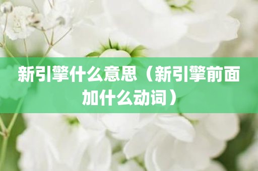 新引擎什么意思（新引擎前面加什么动词）