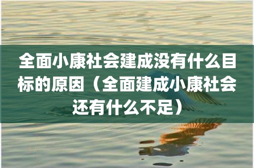 全面小康社会建成没有什么目标的原因（全面建成小康社会还有什么不足）