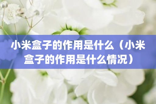 小米盒子的作用是什么（小米盒子的作用是什么情况）