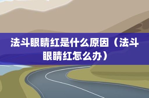 法斗眼睛红是什么原因（法斗眼睛红怎么办）