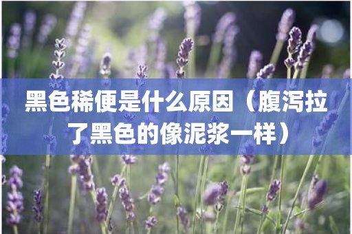黑色稀便是什么原因（腹泻拉了黑色的像泥浆一样）