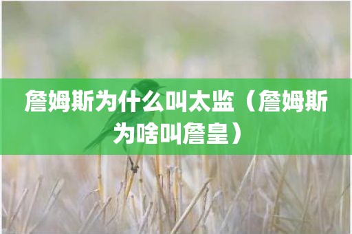詹姆斯为什么叫太监（詹姆斯为啥叫詹皇）