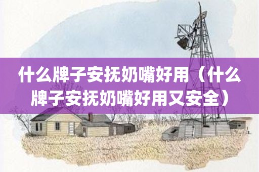 什么牌子安抚奶嘴好用(什么牌子安抚奶嘴好用又安全)