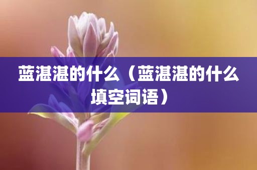 蓝湛湛的什么(蓝湛湛的什么填空词语)