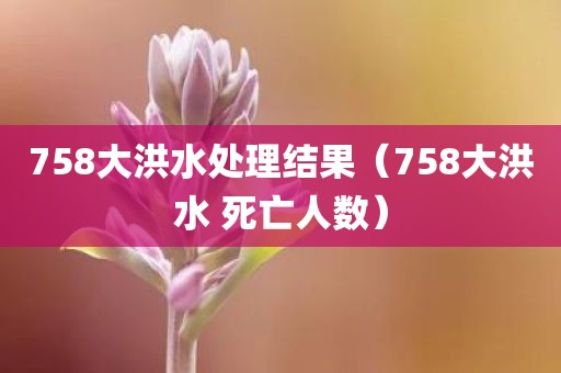 758大洪水处理结果（758大洪水 死亡人数）