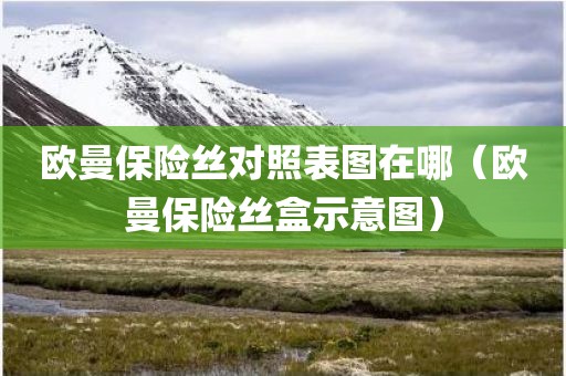 欧曼保险丝对照表图在哪（欧曼保险丝盒示意图）