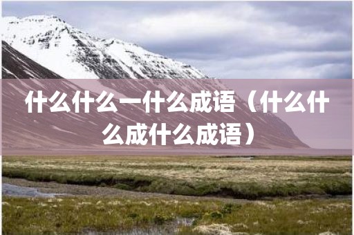 什么什么一什么成语（什么什么成什么成语）