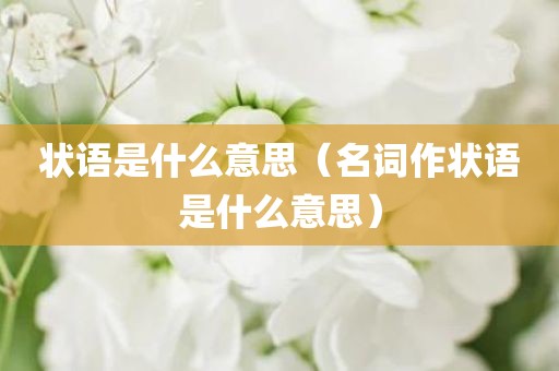 状语是什么意思（名词作状语是什么意思）
