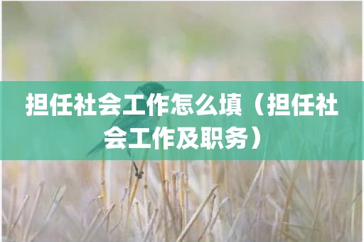 担任社会工作怎么填（担任社会工作及职务）