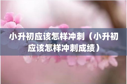 小升初应该怎样冲刺(小升初应该怎样冲刺成绩) 小升初应该怎样冲刺(小升初应该怎样冲刺成绩)