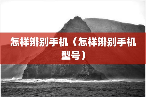怎样辨别手机（怎样辨别手机型号）