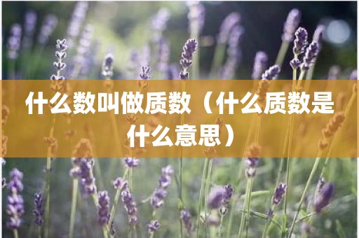 什么数叫做质数(什么质数是什么意思)