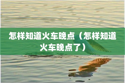 怎样知道火车晚点（怎样知道火车晚点了）