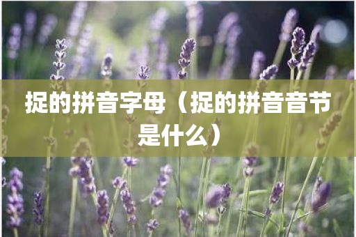 捉的拼音字母（捉的拼音音节是什么）
