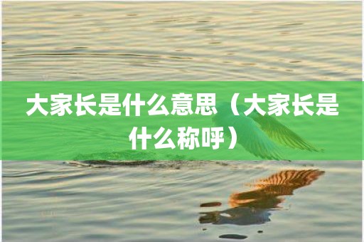 大家长是什么意思（大家长是什么称呼）