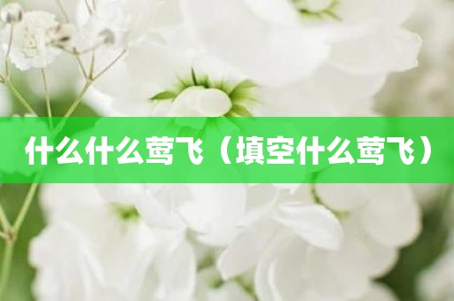 什么什么莺飞（填空什么莺飞）