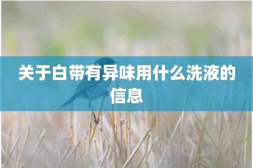 关于白带有异味用什么洗液的信息