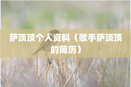 萨顶顶个人资料（歌手萨顶顶的简历）