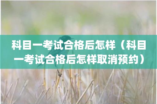 科目一考试合格后怎样(科目一考试合格后怎样取消预约)