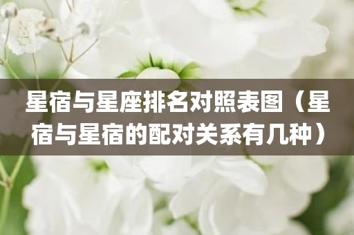 星宿与星座排名对照表图（星宿与星宿的配对关系有几种）