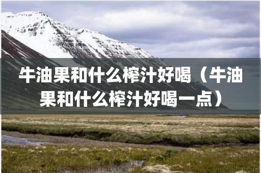 牛油果和什么榨汁好喝（牛油果和什么榨汁好喝一点）