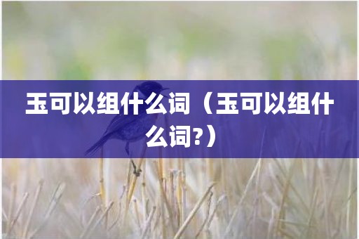 玉可以组什么词（玉可以组什么词?）